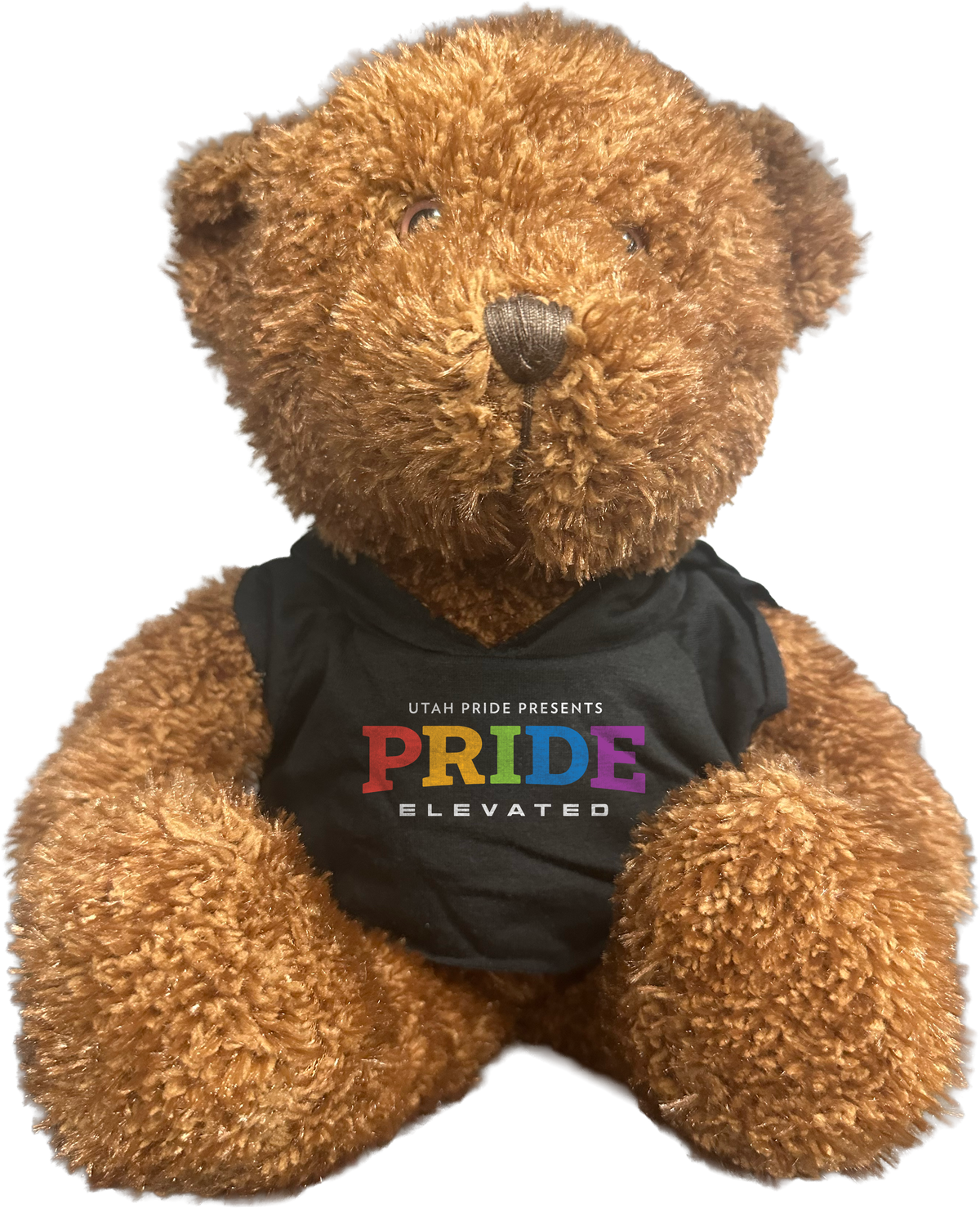 H. Utah Pride Bear - Rainbow (Pre Order.  Estimated Shipping 06/19/2026 - 07/10/2026)