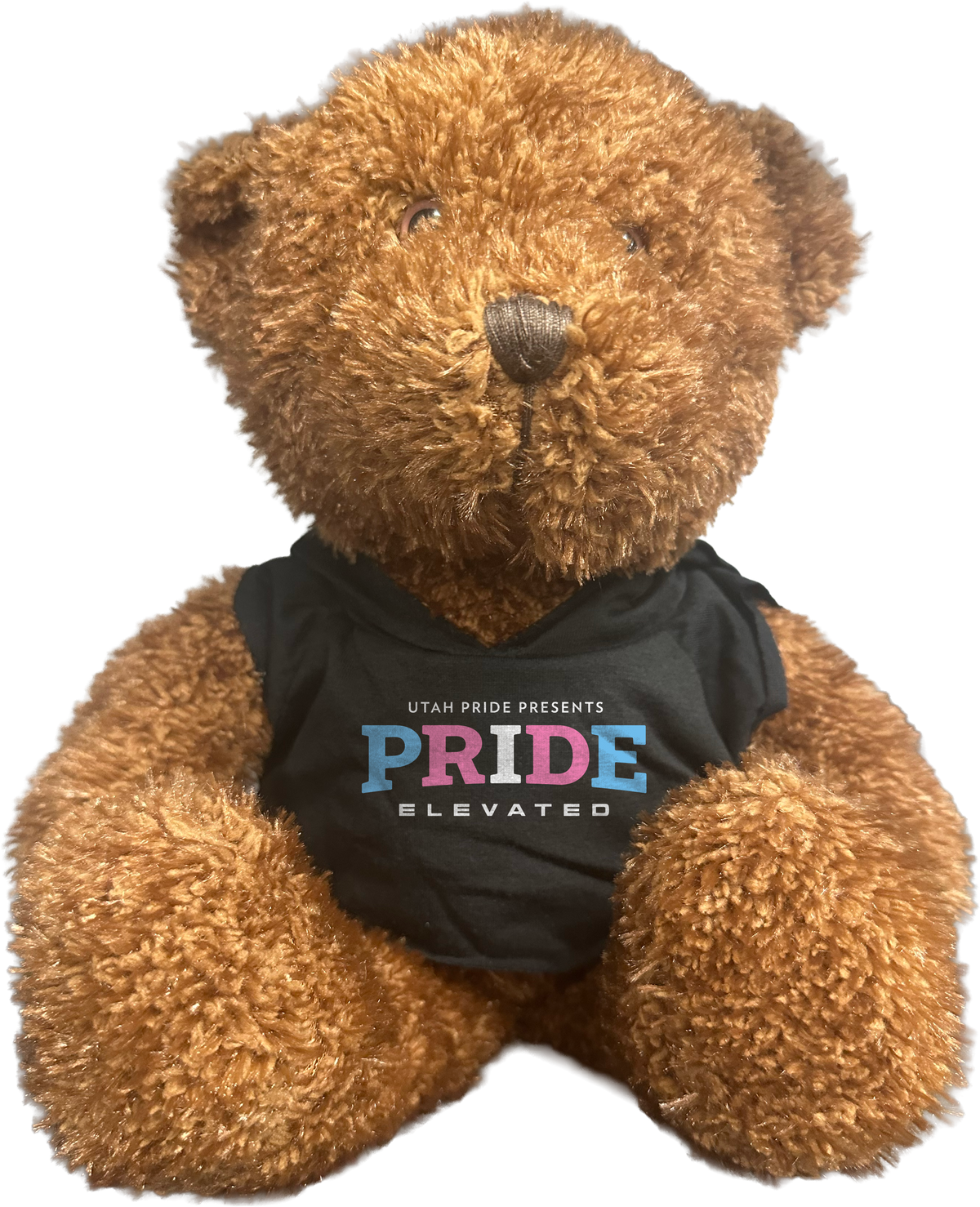 I. Utah Pride Bear - Trans (Pre Order.  Estimated Shipping 06/19/2026 - 07/10/2026)